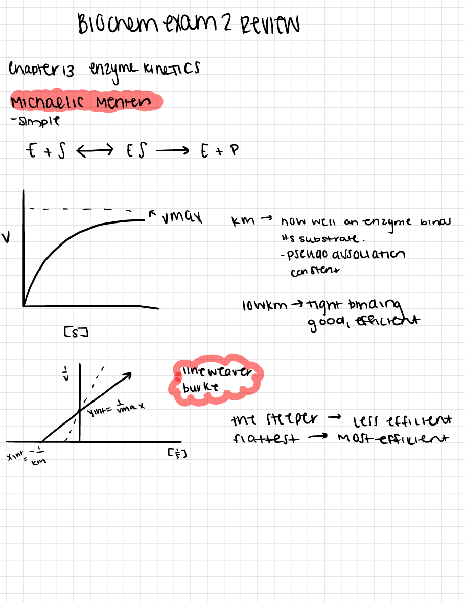 Preview image for   Florida Atlantic University - BCH 3033biochem si exam 2 review. Handwritten