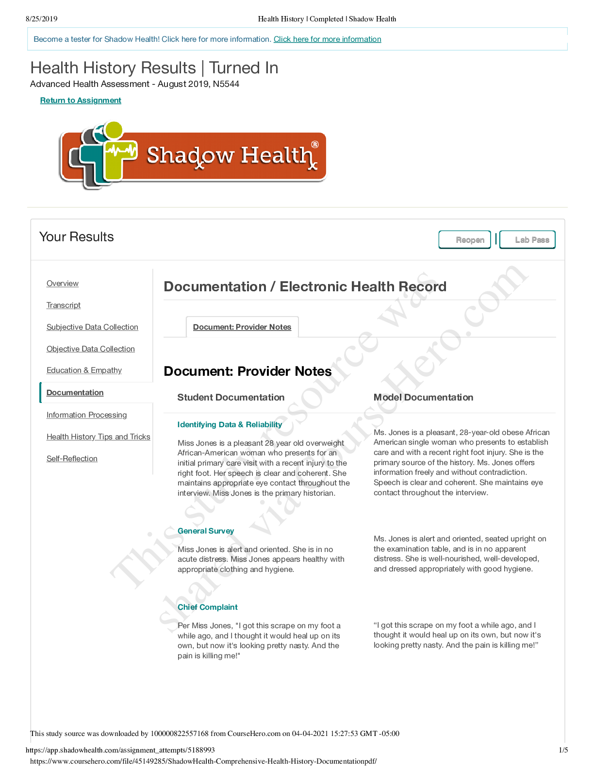 Preview of ShadowHealth - Comprehensive Health History - Documentation