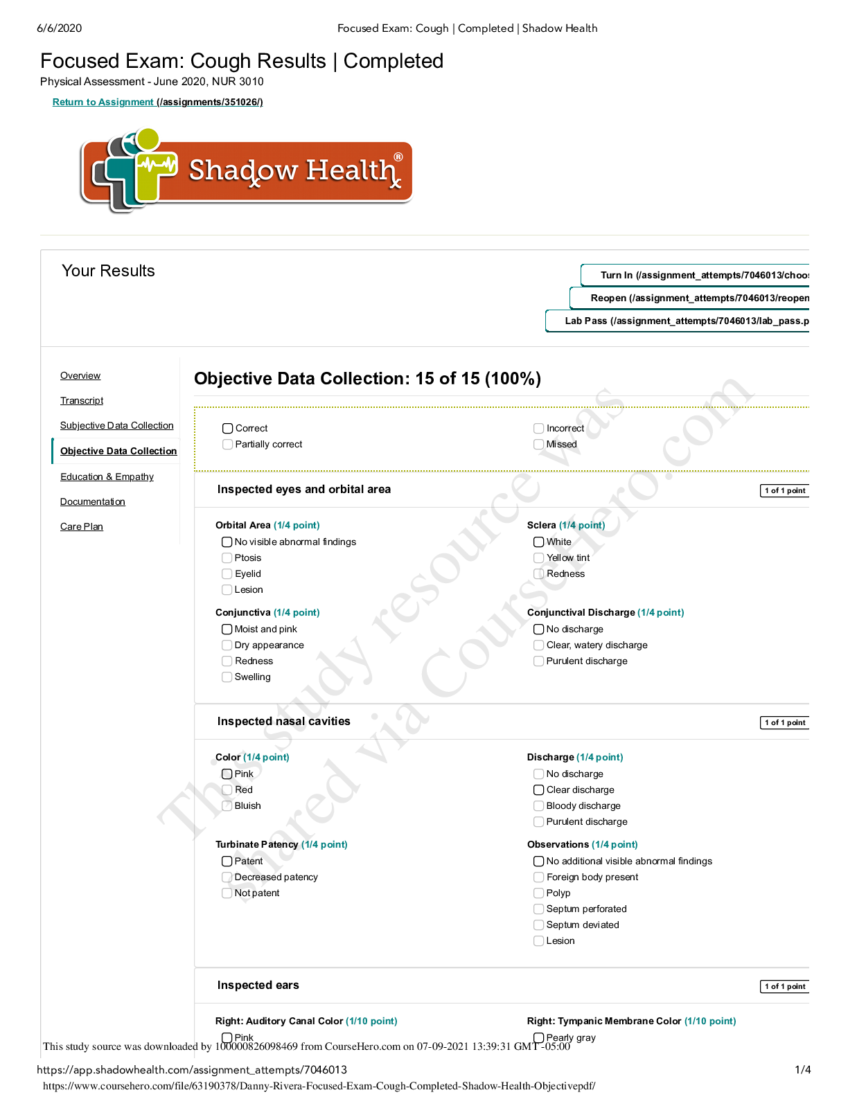Preview of NRS 434VN Danny Rivera Shadow Health Focused Exam; Objective Data.