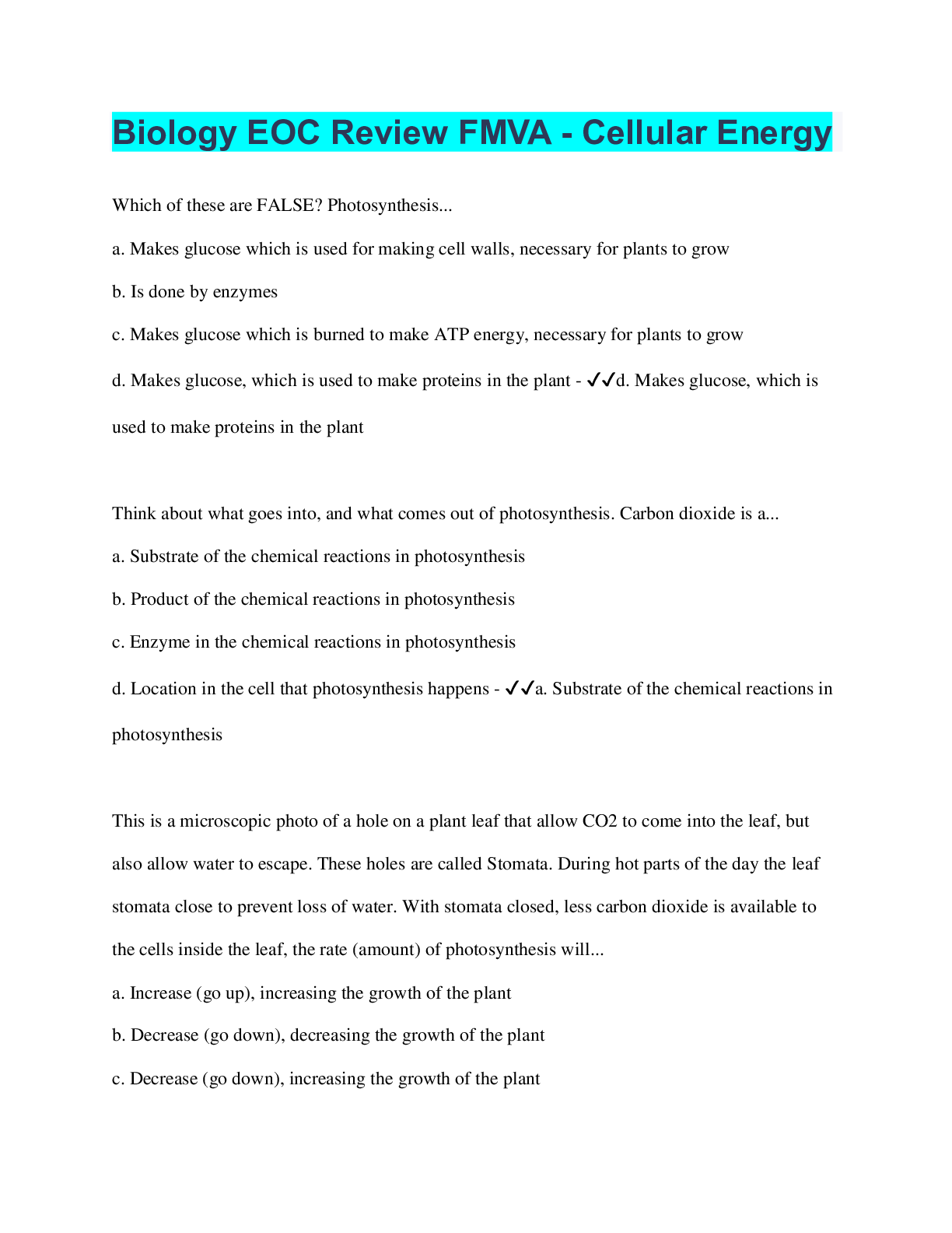 Preview image for Biology EOC Review FMVA - Cellular Energy | 33 Questions with 100% Correct Answers | Verified