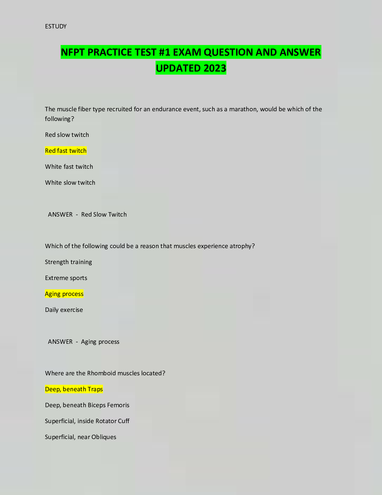 document-preview