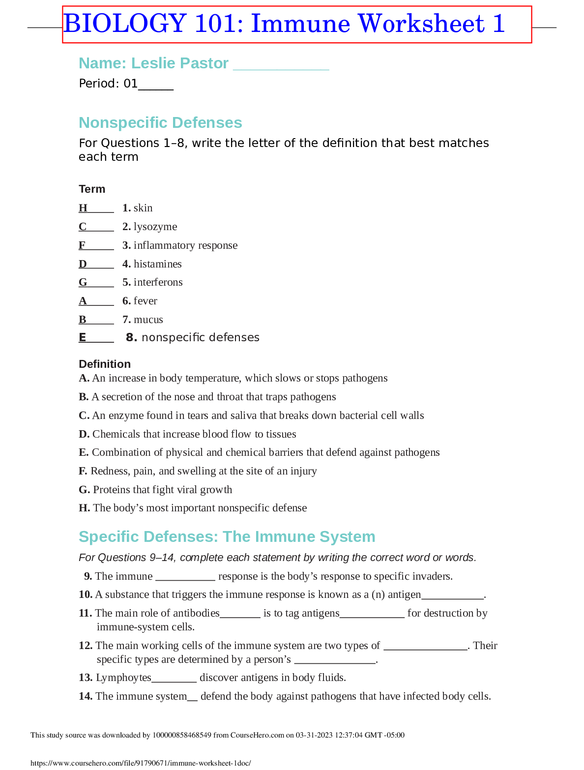 document-preview