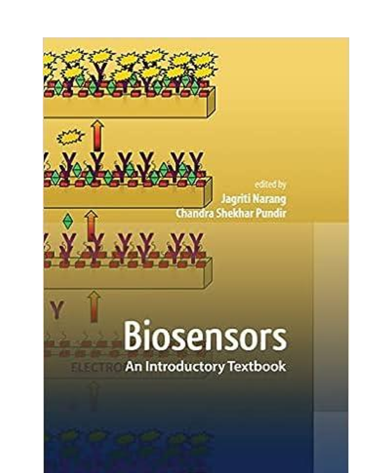 Preview image of Solution Manual for Biosensors An Introductory Textbook, 1st Edition By Jagriti Narang (CRC Press) document