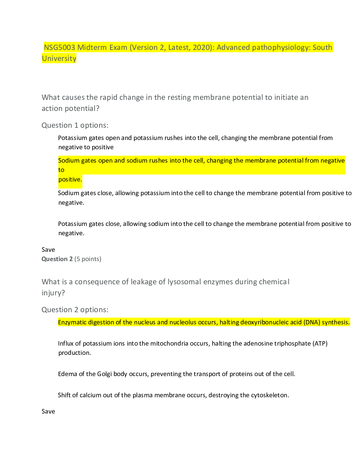 Preview image of NSG5003 Midterm Exam (Version 2, Latest, 2023) document