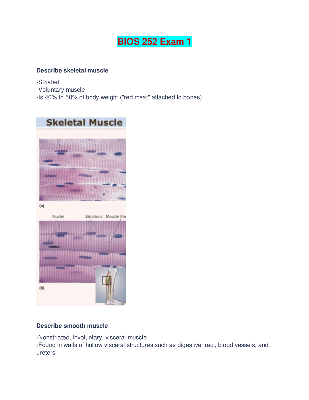 BIOS 252 Exam 1 | BIOS 252 Anatomy and Physiology II with Lab