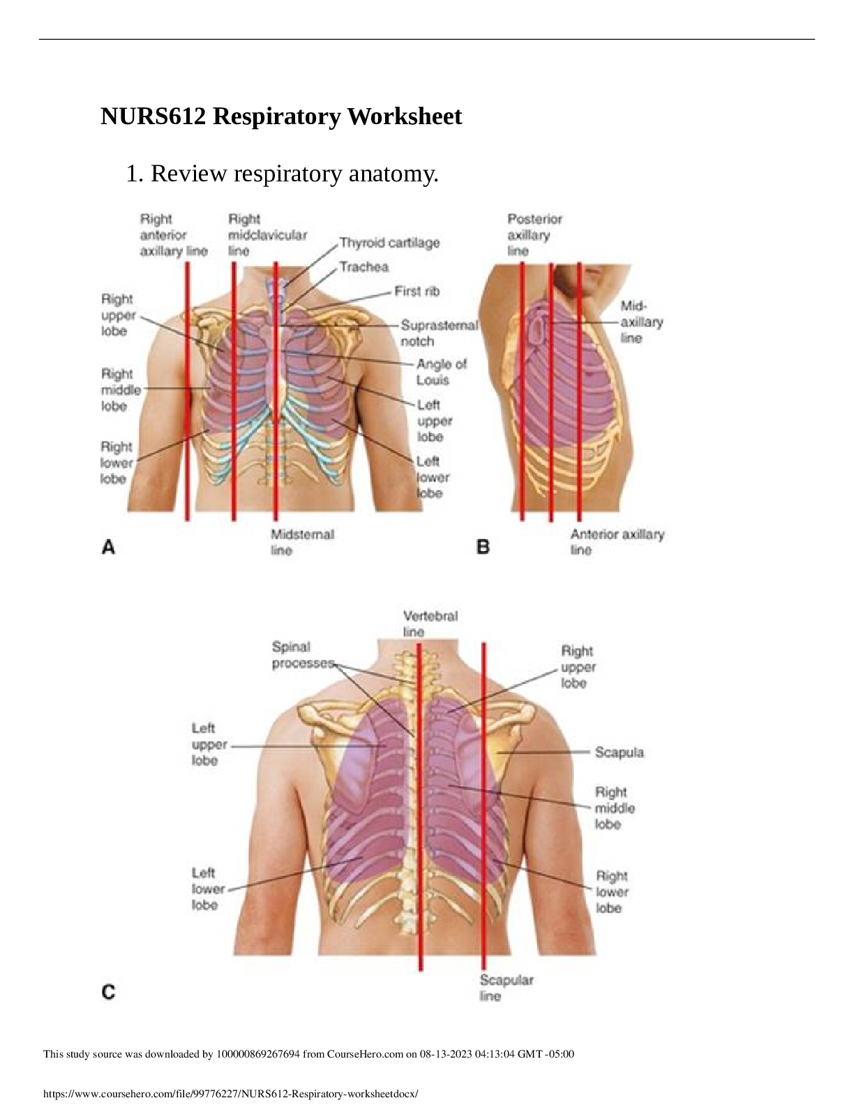 Preview image of NURS612 Respiratory worksheet 2023 document
