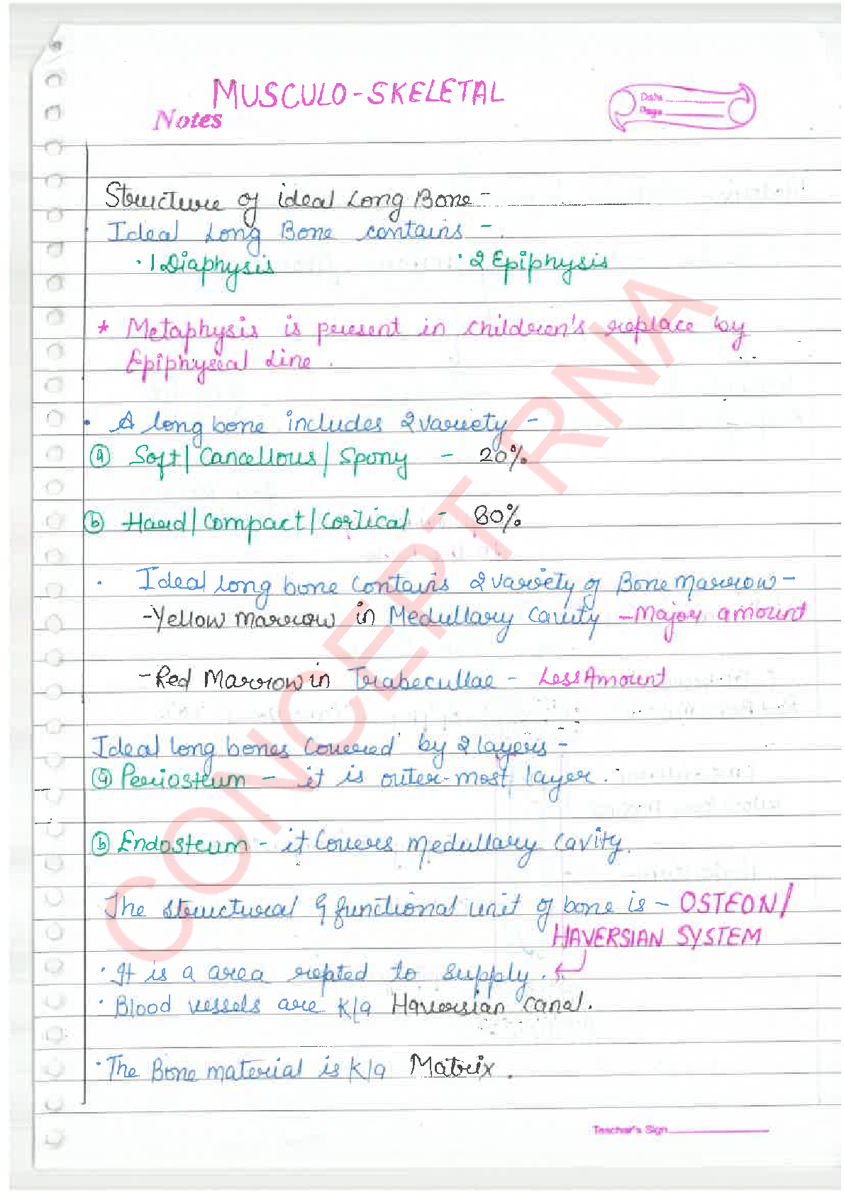 Preview image of MUSCULO SKELETON SYSTEM Complete Handwritten Notes document