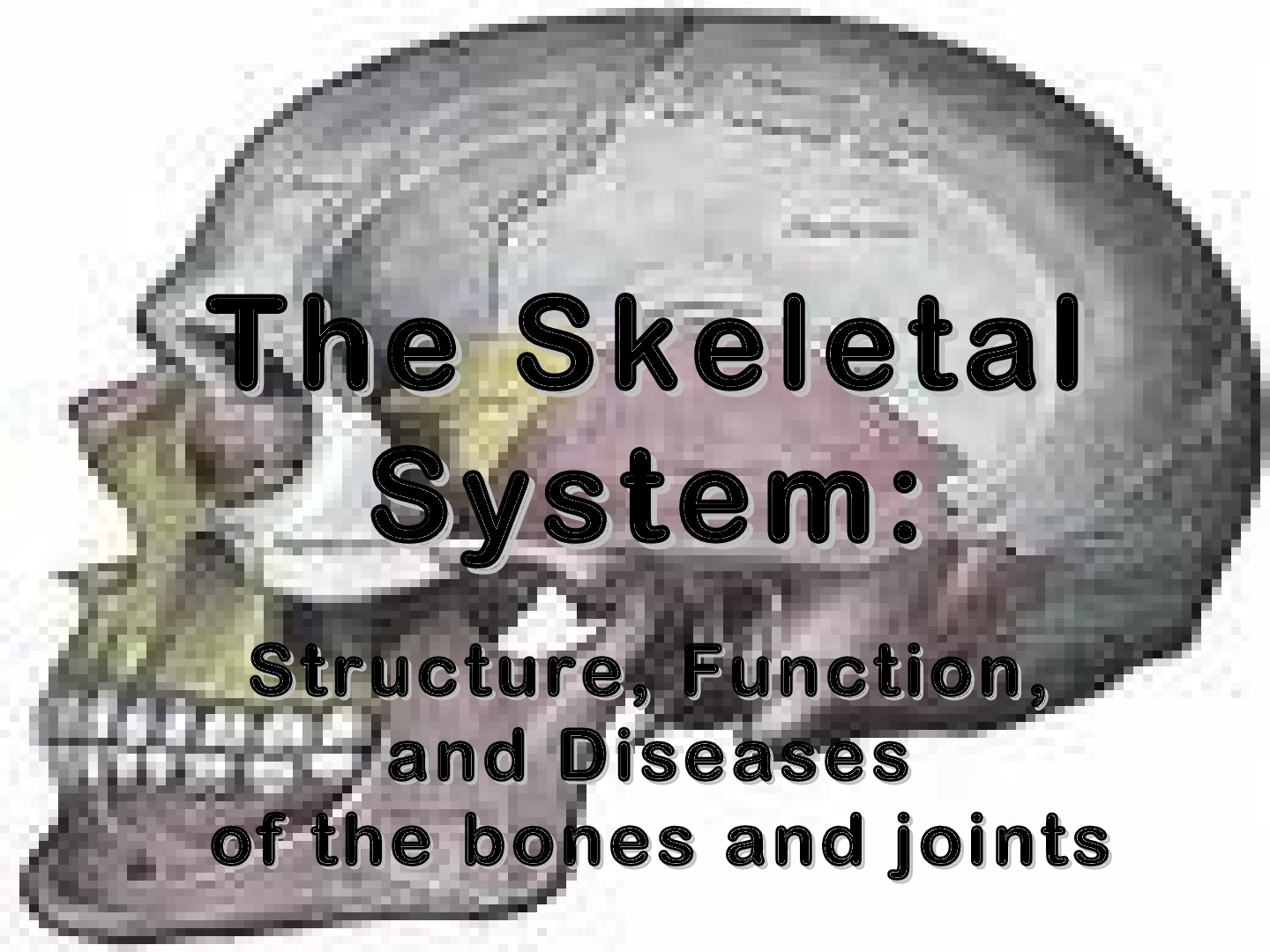 Preview image of The Skeletal System Full Nursing Notes BSN document