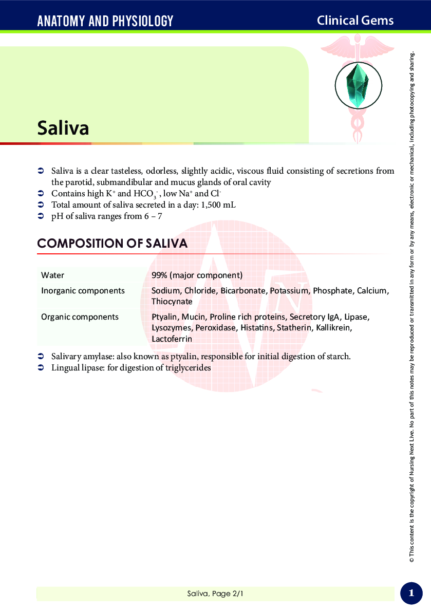 Preview image of A&P - Saliva document