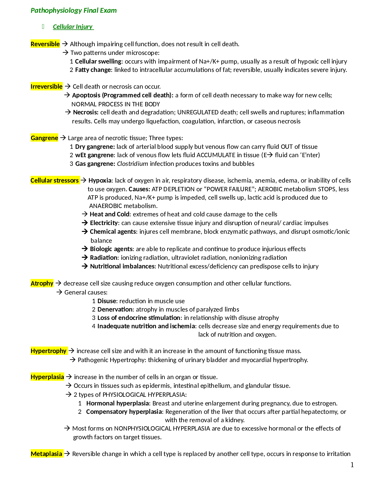 Preview image of NUR 3031 Patho Final Review Updated document