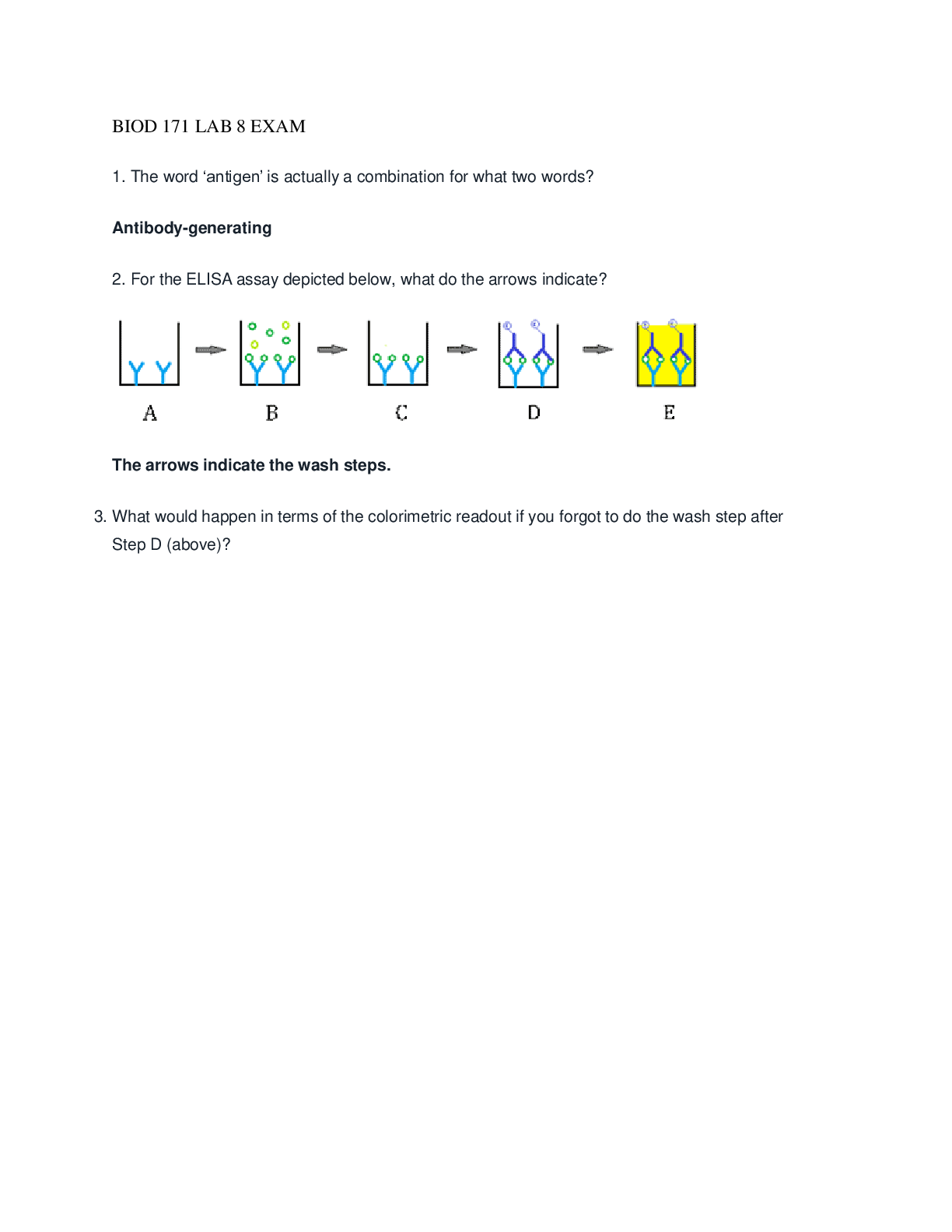 Preview image of BIOD 171 LAB 8 EXAM document