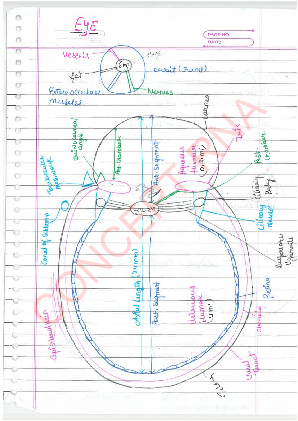 Preview image of EYE AND EAR complete nursing notes document