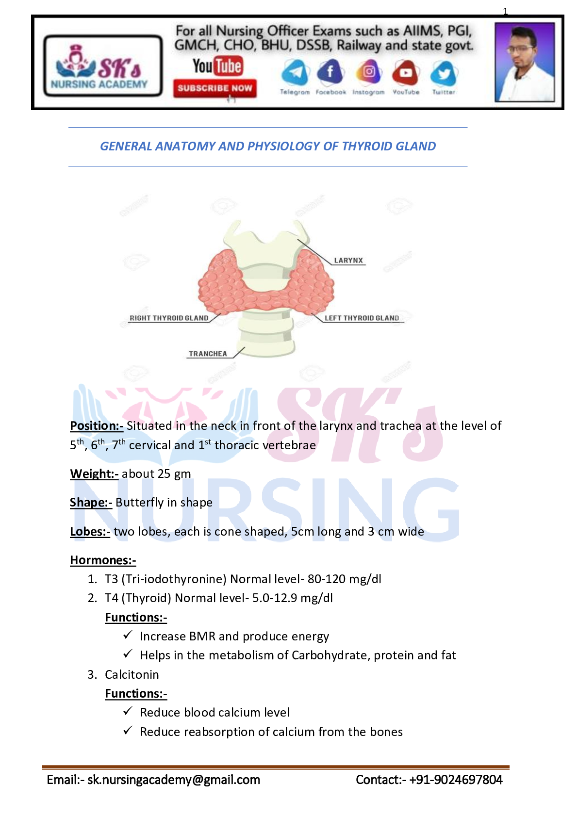 Preview image of A&P - Thyroid Gland document