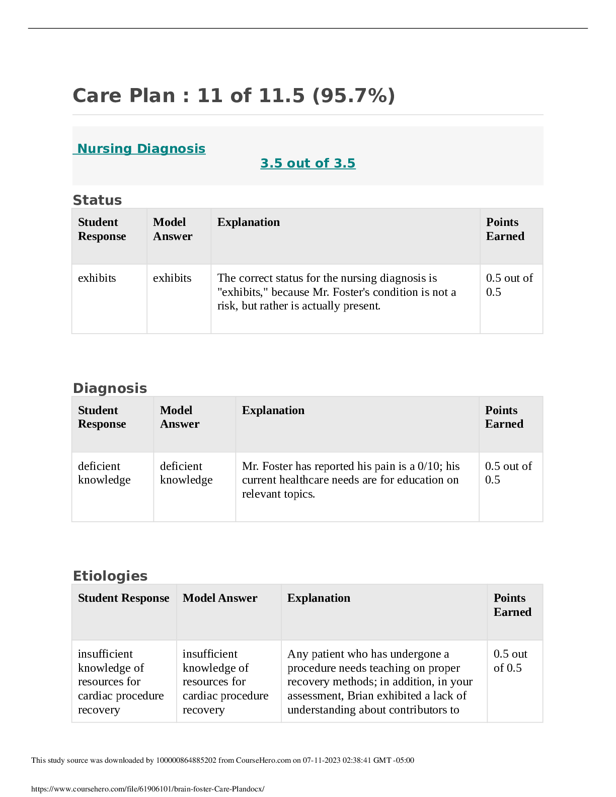 Preview image of BRAIN FOSTER CARE PLAN document