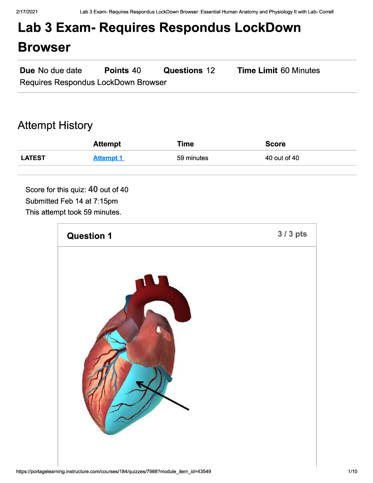 Preview image of BIOD 152 LAB 3 EXAM 2023 document
