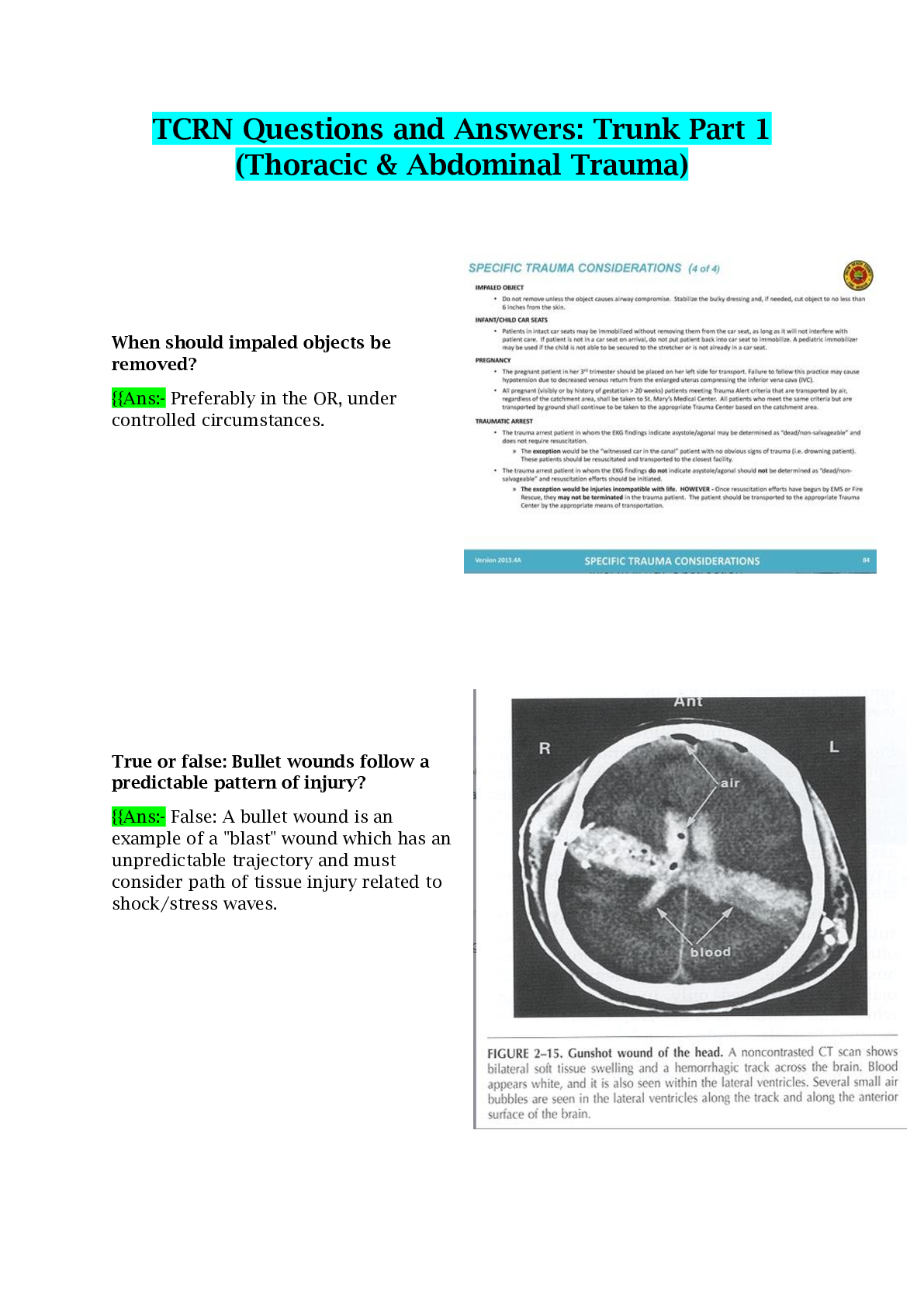 document-preview