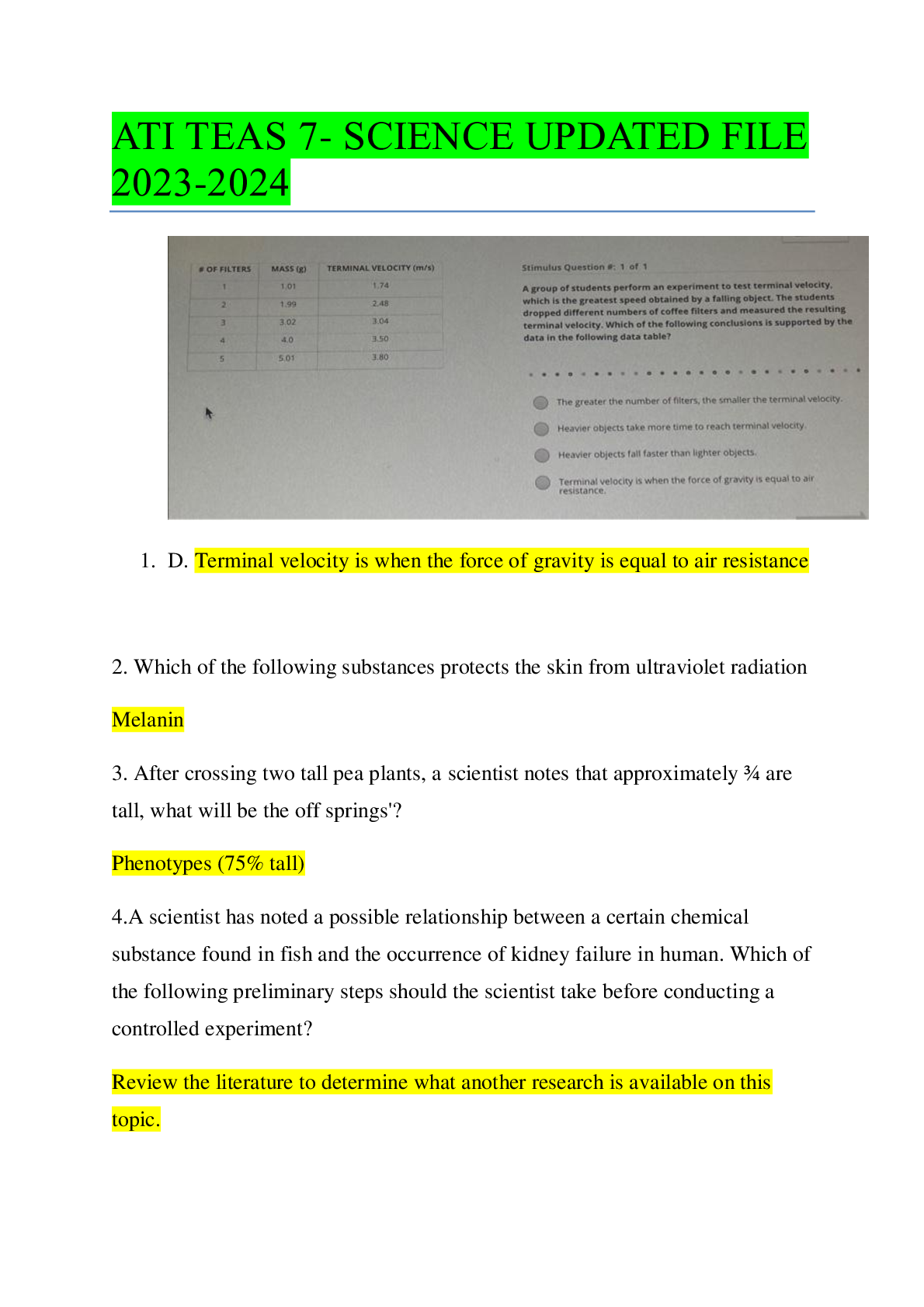 document-preview