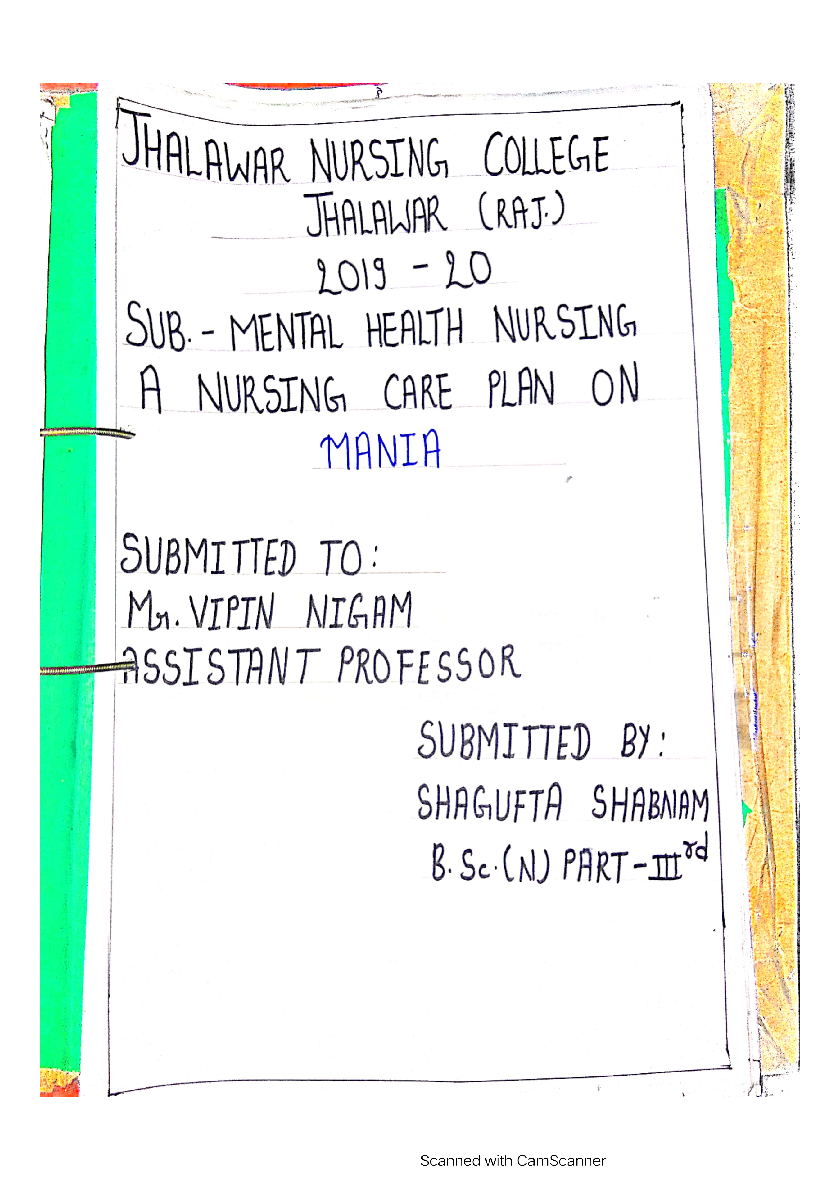 Preview image of Dementia ncp document