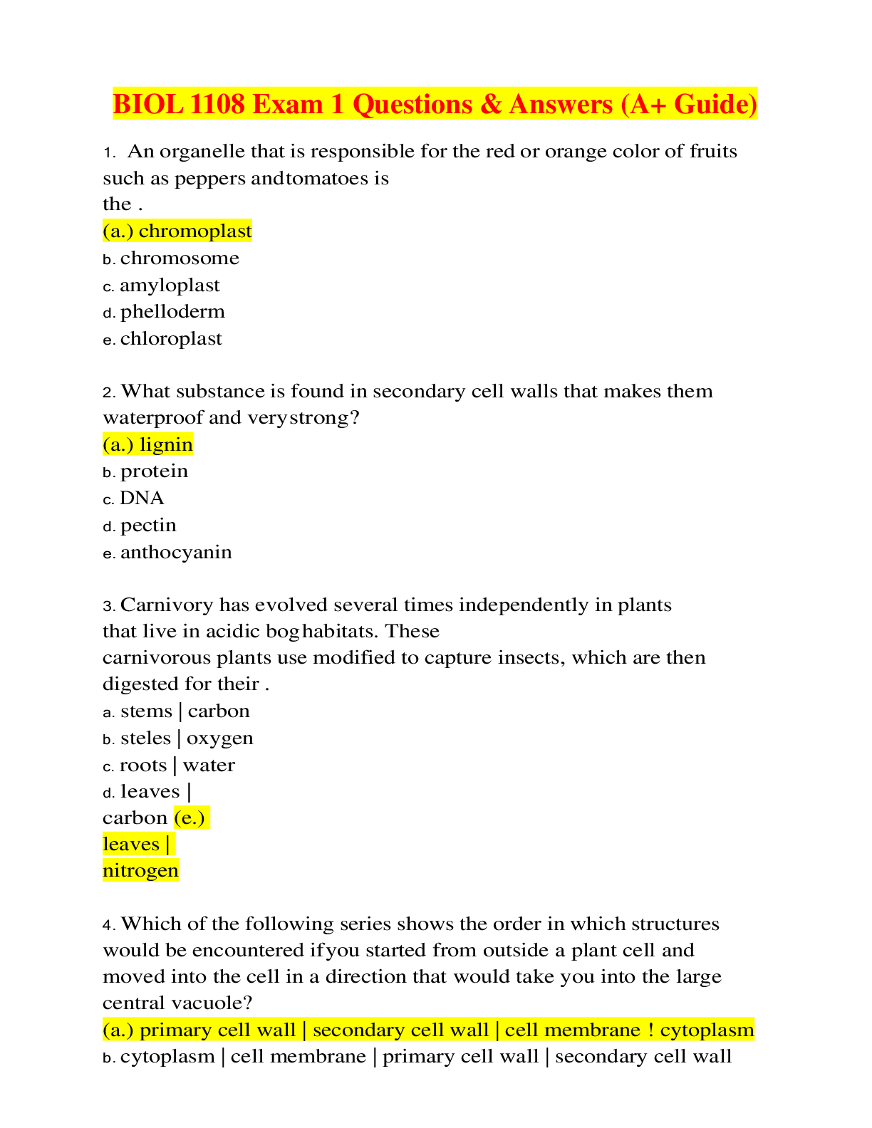 document-preview
