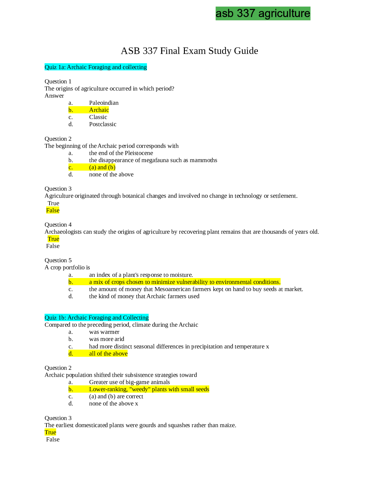 document-preview