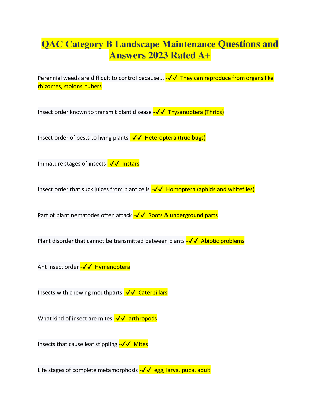 document-preview