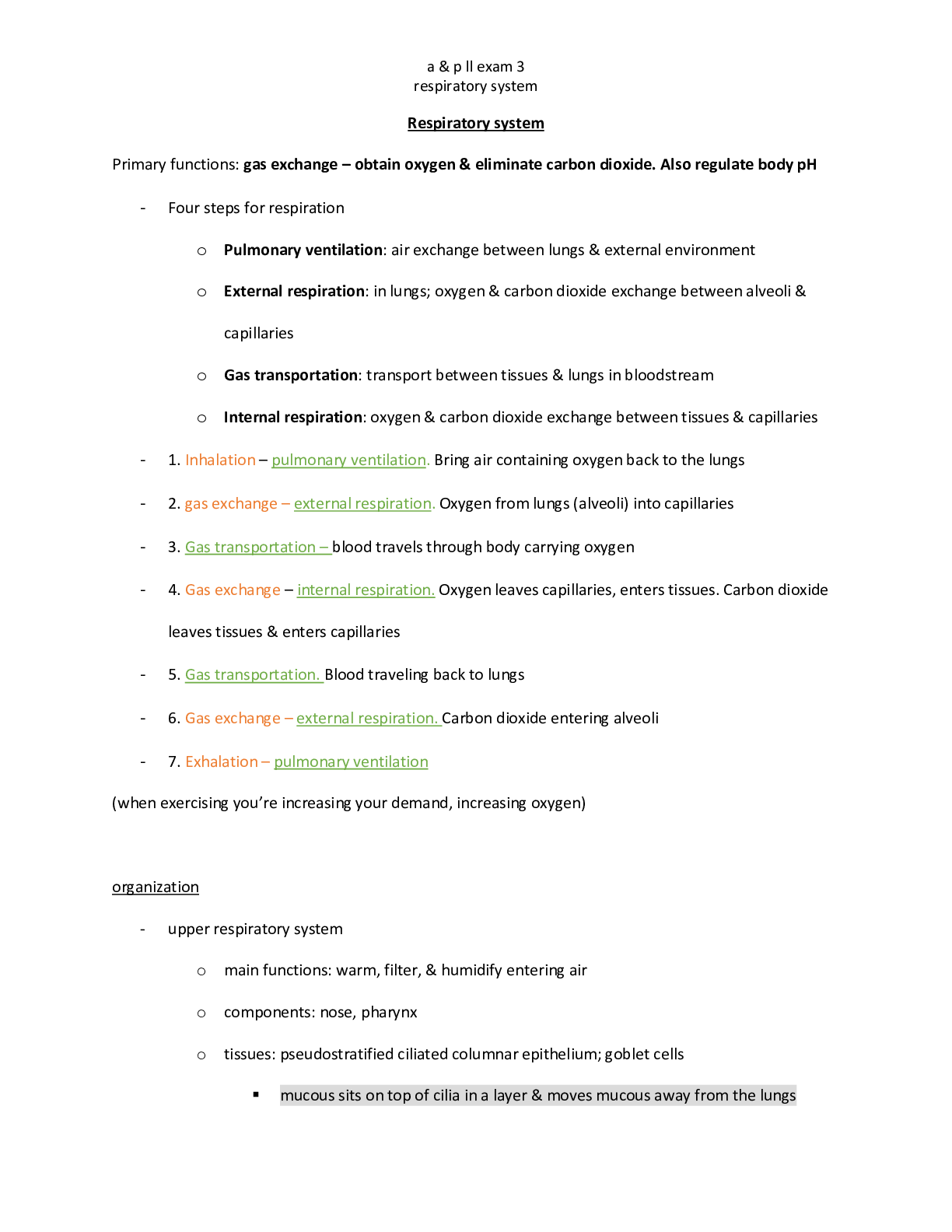 Preview image of a & p ll exam 3 respiratory system document