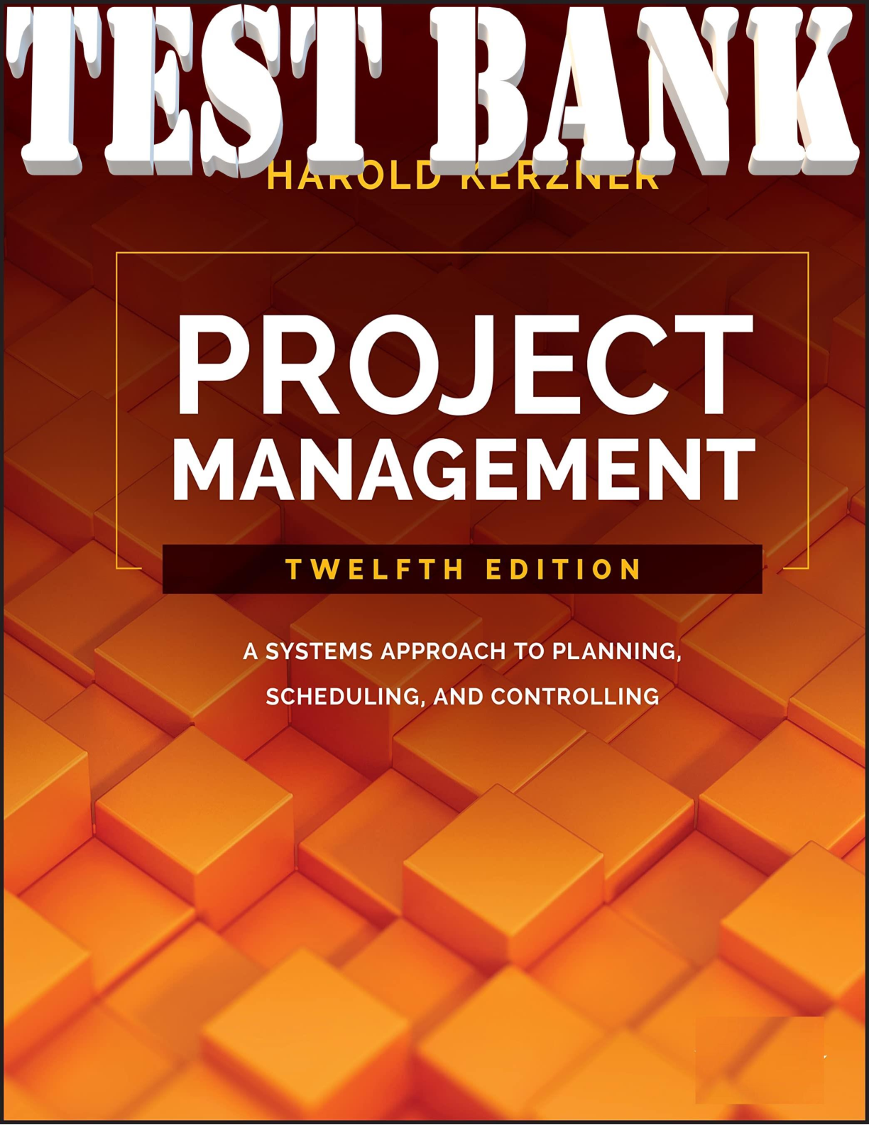 Preview image of Project Management A Systems Approach Test Bank document