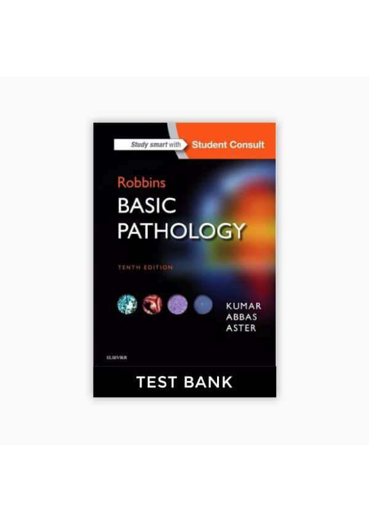 Preview image of Robbins Basic Pathology 10th Edition Kymar Abbas Test Bank document