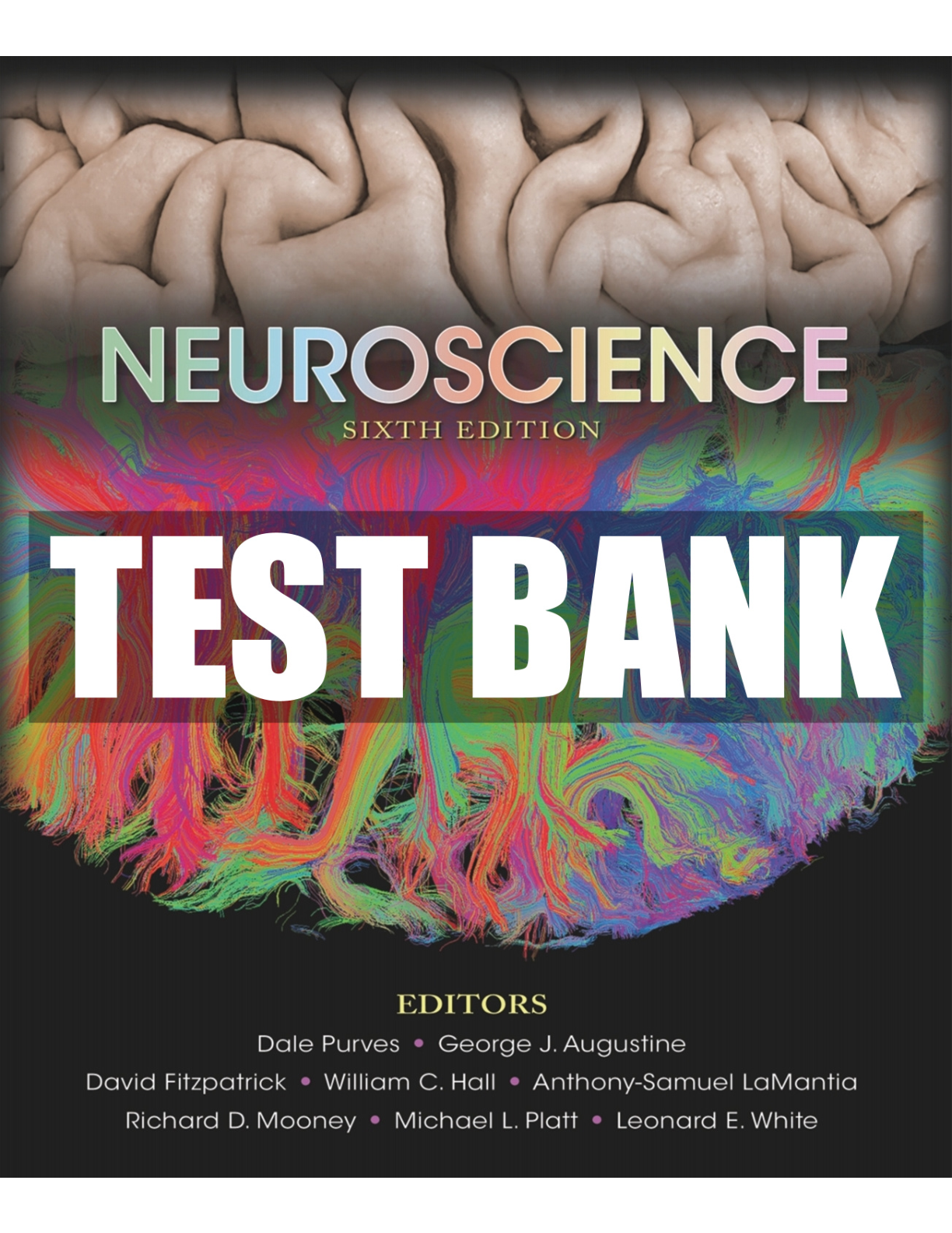 Preview image of Neuroscience 6th Edition Purves - Test Bank document