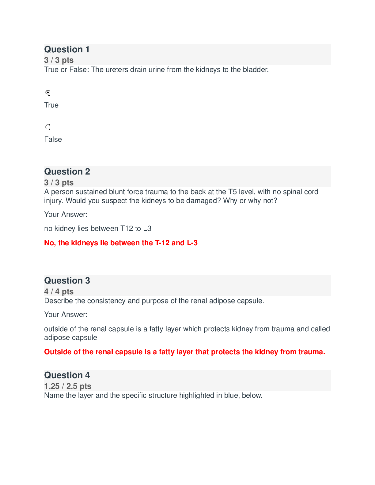 BIOD 152 Final Exam Module 7 Version-1, Latest-20232024)  BIOD152 Final Exam  BIOD 152 A & P 2 Final Exam Essential Human Anatomy & Physiology II Portage Learning 100 % Correct Q & A