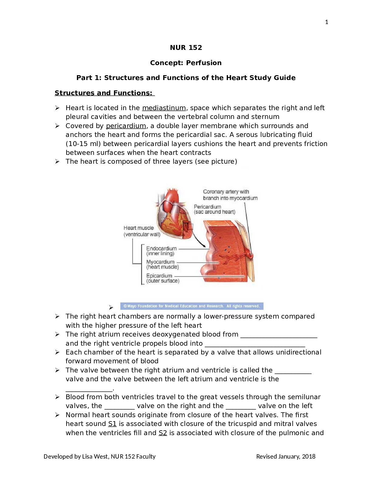 Preview image of nur 152 Hemodynamics Study Guide document