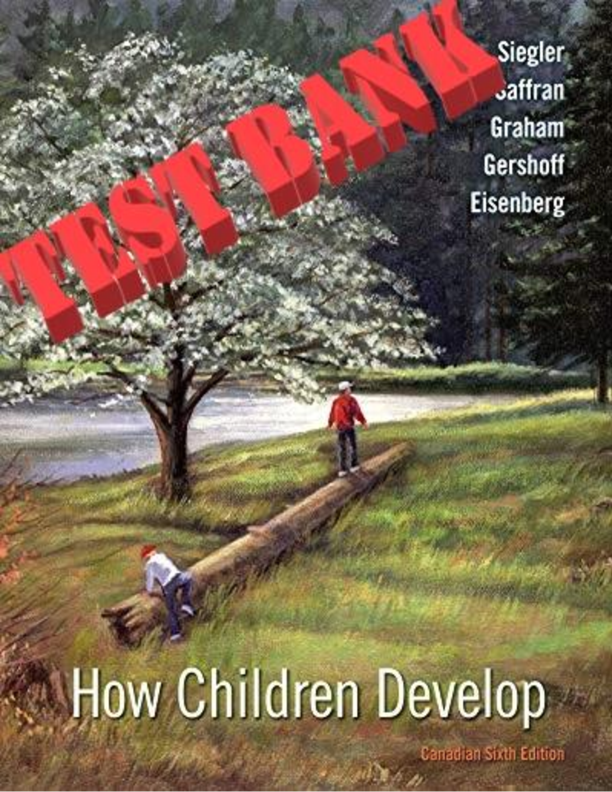 Preview image of How Children Develop (Canadian Edition) 6th Test Bank document