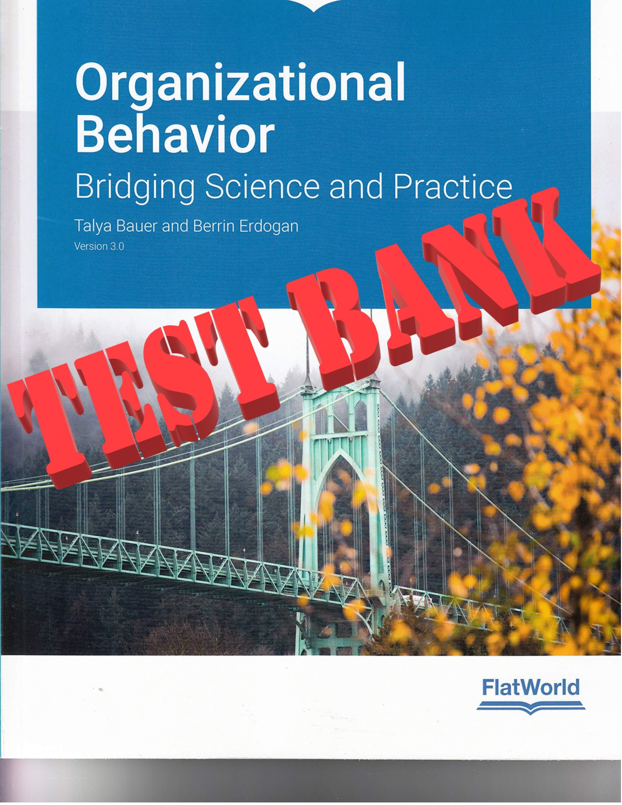 Preview image of Organizational Behavior, Version 3.0 Test Bank document