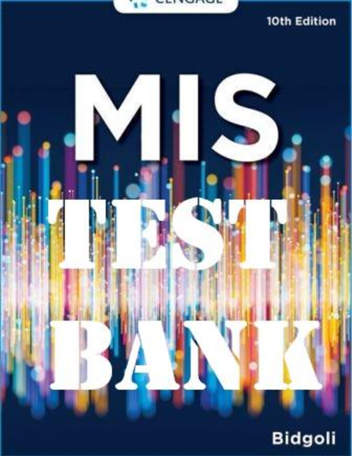 MIS, 10th Edition, Hossein Bidgoli Test Bank