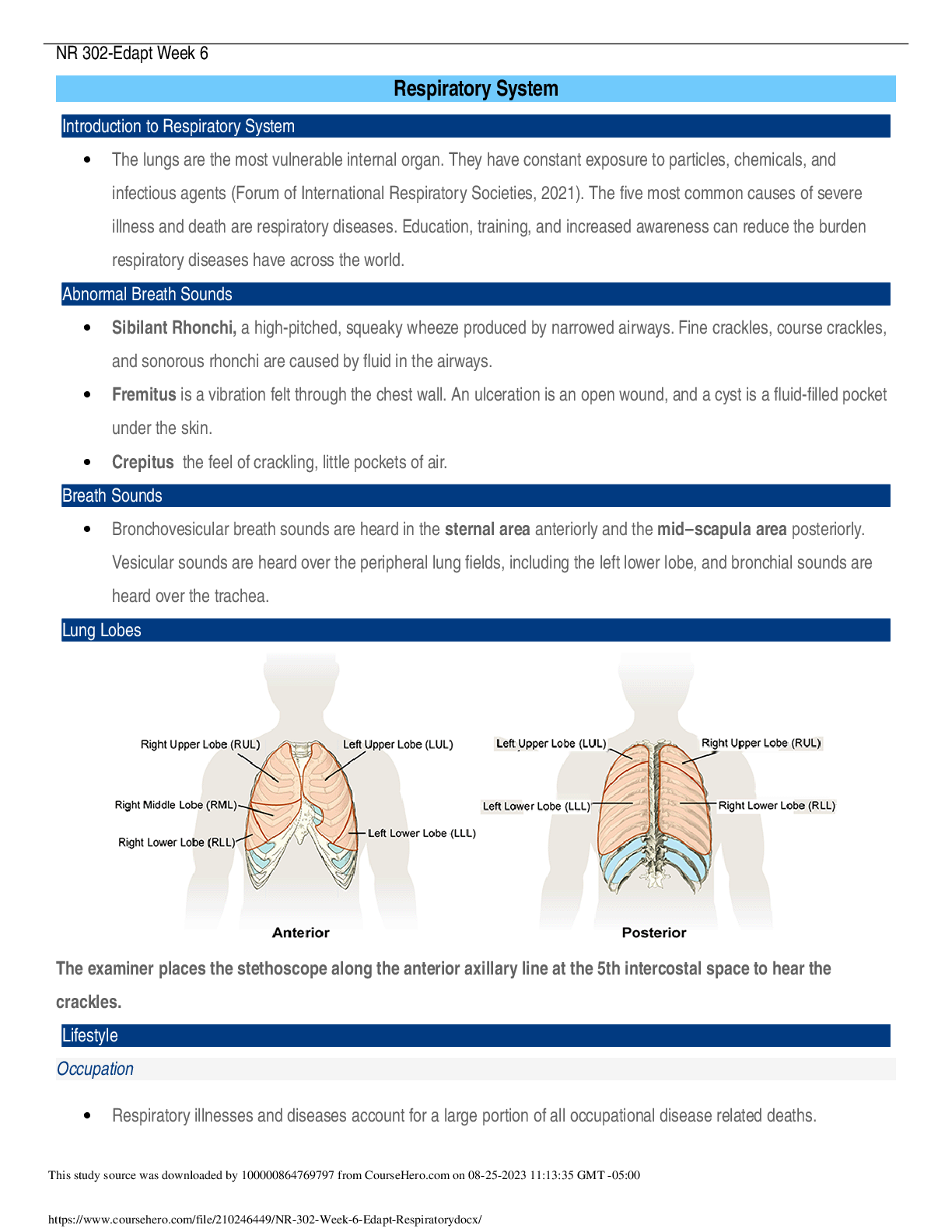 Preview image of NR 302 Week 6-Edapt-Respiratory System document