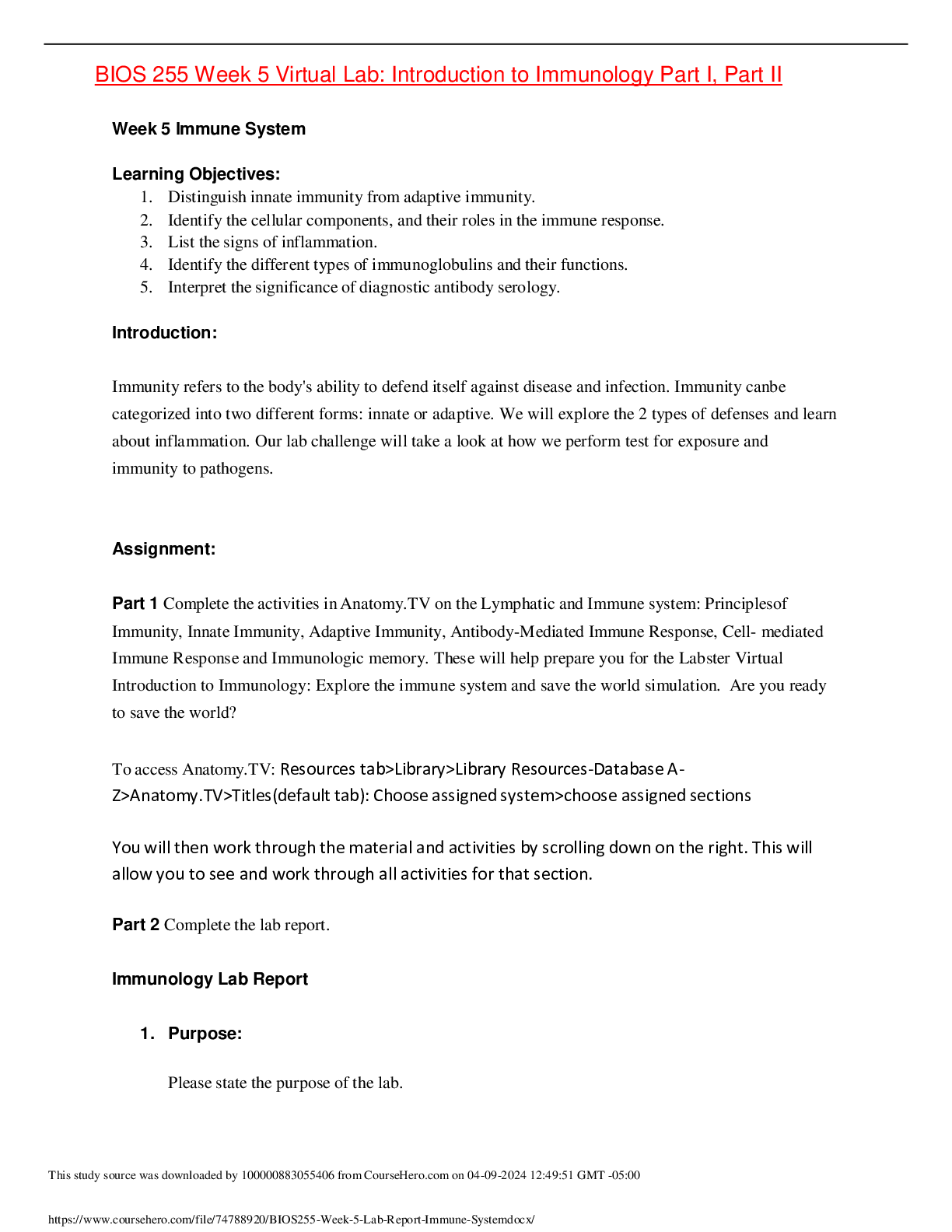 document-preview