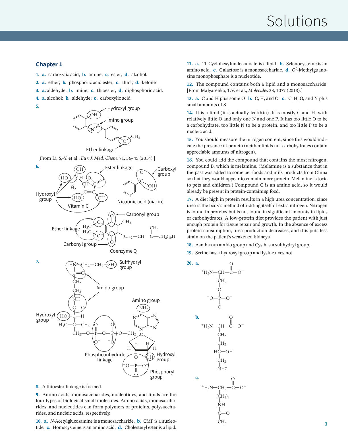 document-preview