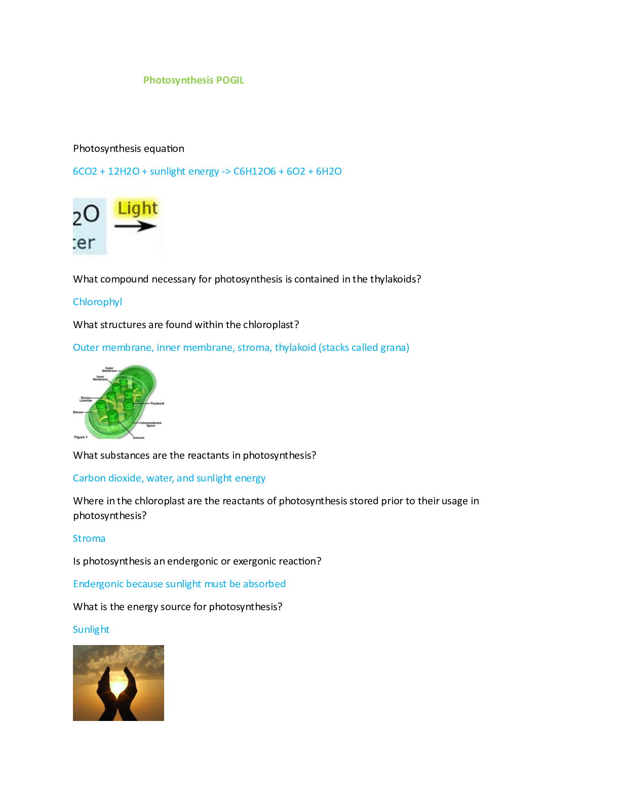 Preview of Photosynthesis POGIL questions and answers 100% correct 2024/2025