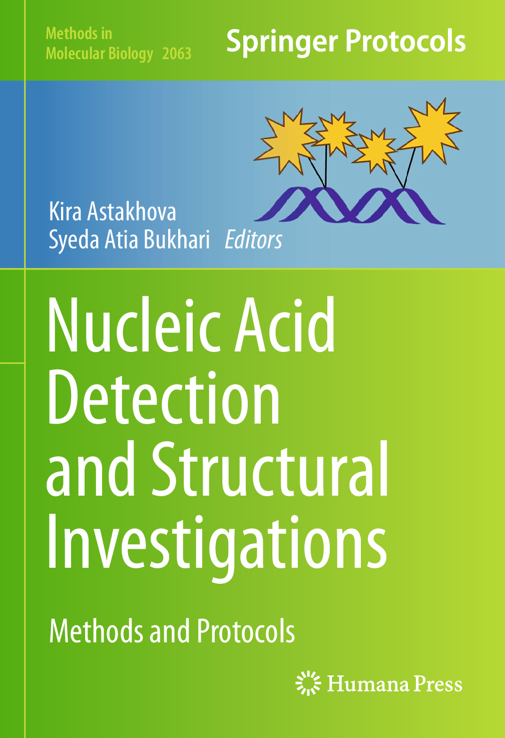 Preview of eBook Nucleic Acid Detection and Structural Investigations Methods and Protocols 1st Editi