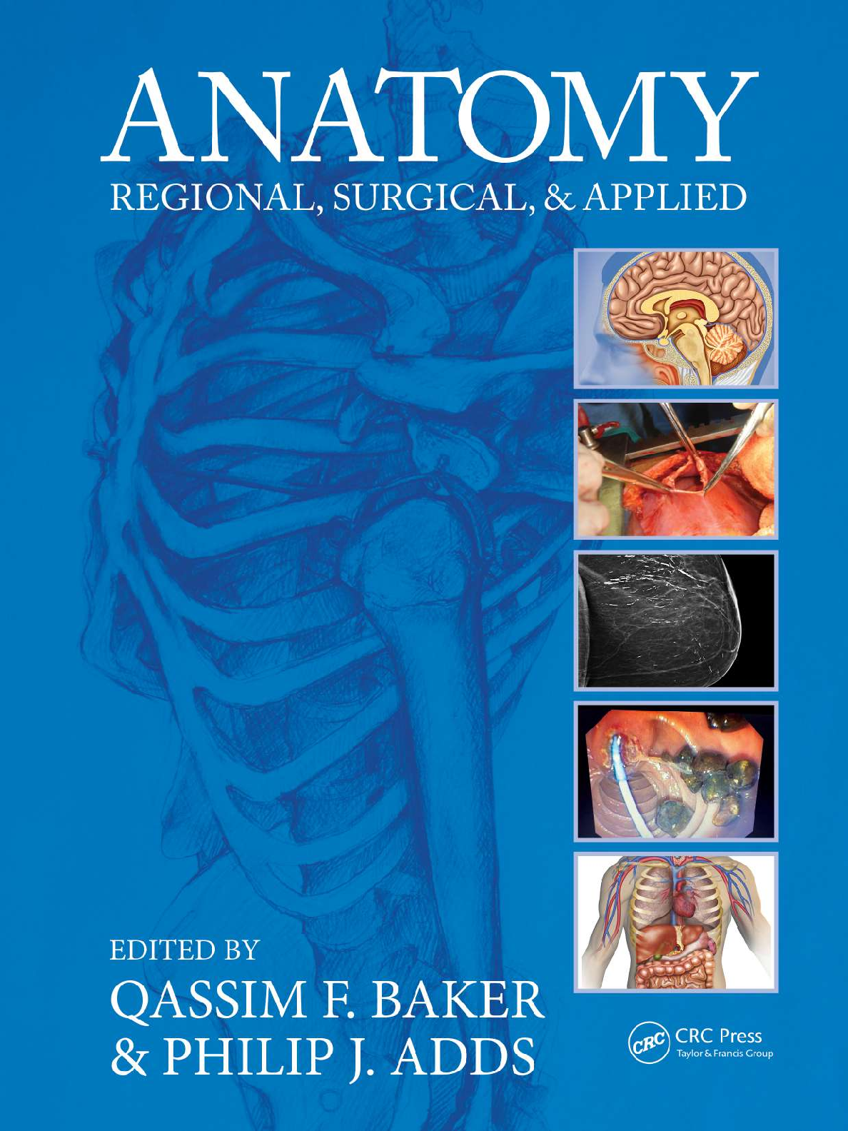 Preview of eBook Anatomy of Neuropsychiatry The New Anatomy of the Basal Forebrain and Its Implications for Neuropsychiatric Illness 2nd Edition By Daniel S. Zahm