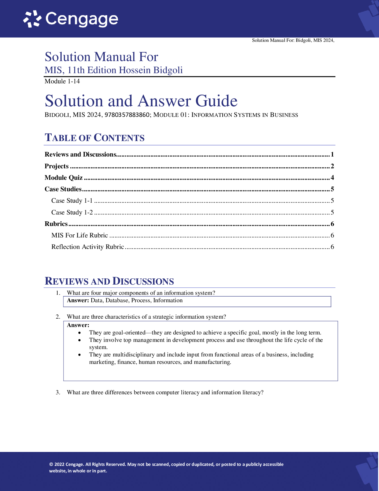 Preview image of Solution Manual For MIS, 11th Edition Hossein Bidgoli document