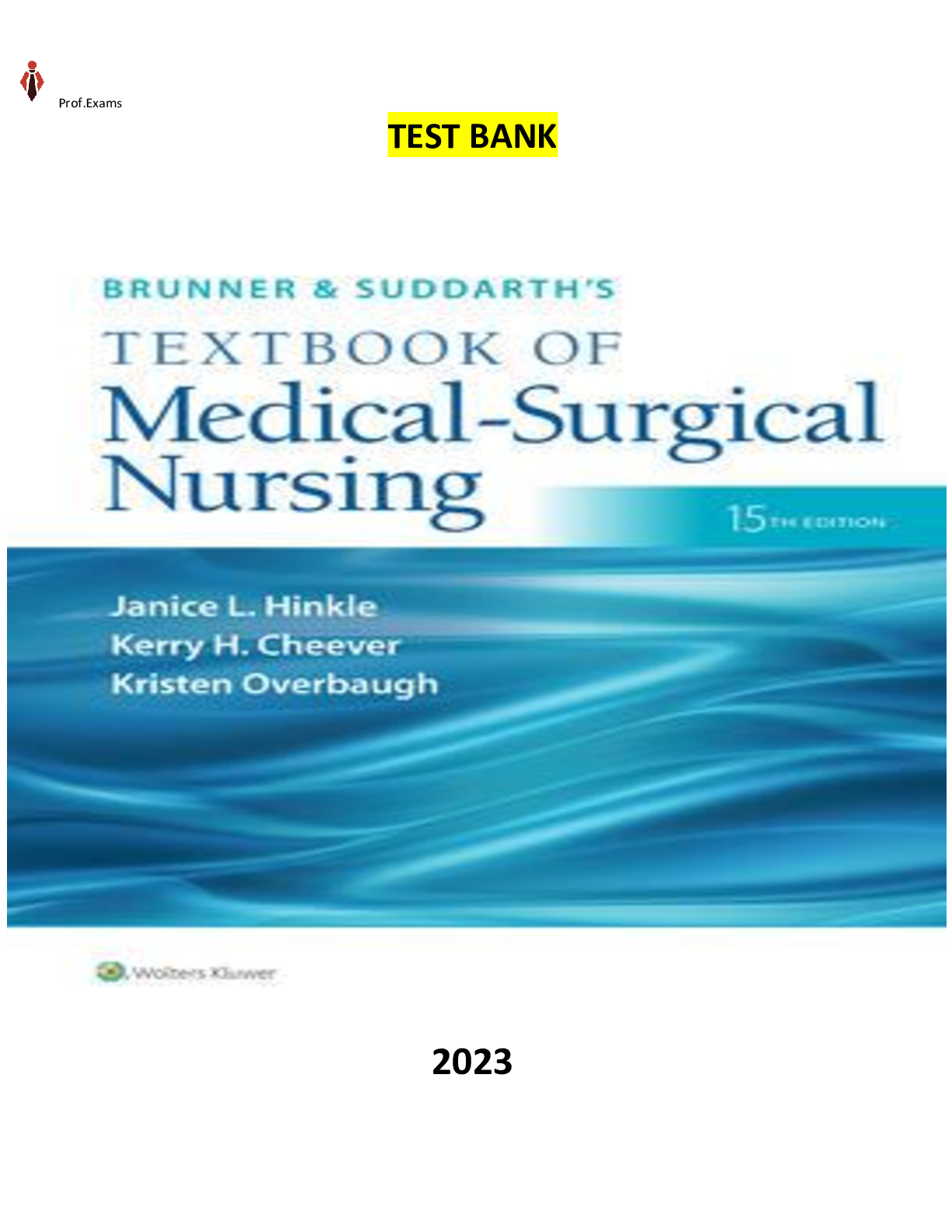 Preview image for Test Bank for Brunner & Suddarths Textbook of Medical-Surgical Nursing 15E by Hinkle & Overbaugh