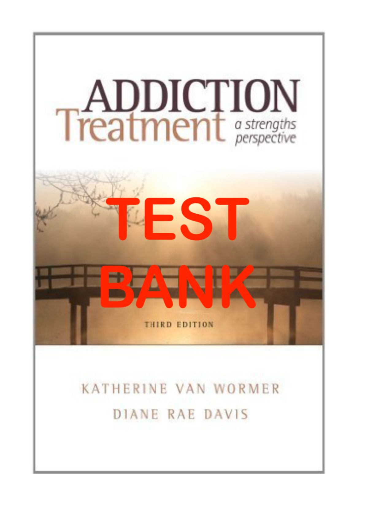 Preview image for TEST BANK For ADDICTION TREATMENT: A STRENGTHS PERSPECTIVE. 3rd Edition