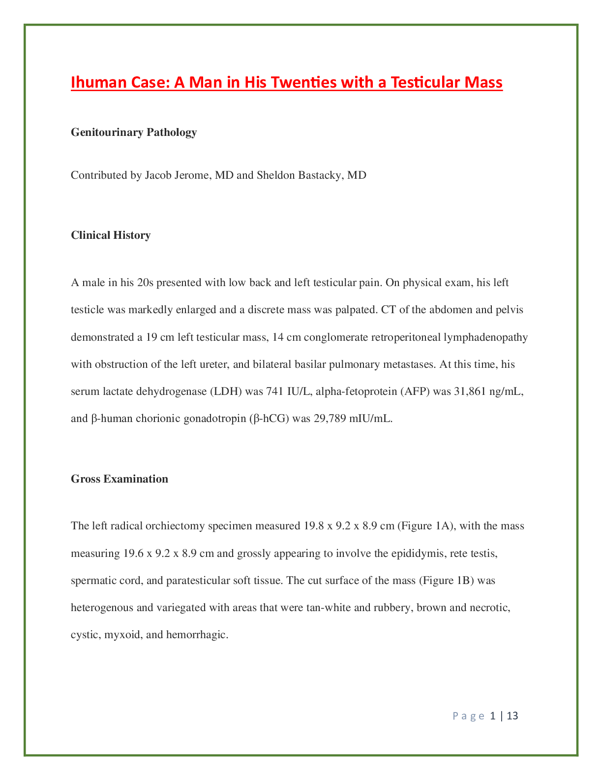 Preview image for Ihuman Case: A Man in His Twenties with a Testicular Mass