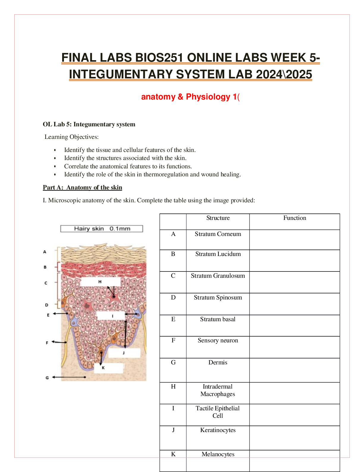 Recommended document preview for FINAL LABS BIOS251 ONLINE LABS WEEK 5-INTEGUMENTARY SYSTEM LAB 2024\2025