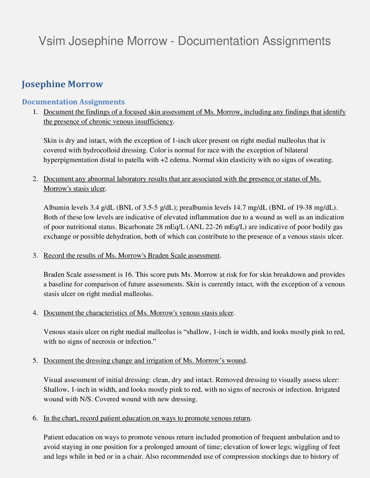 Preview image for Vsim Josephine Morrow - Documentation Assignments