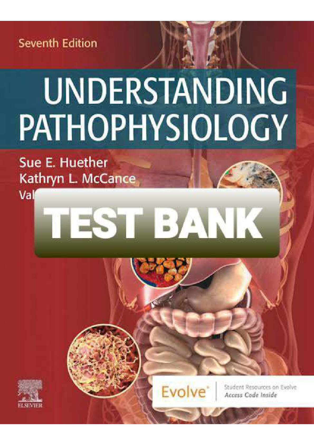 Preview image of Understanding Pathophysiology 7th Edition Test Bank document