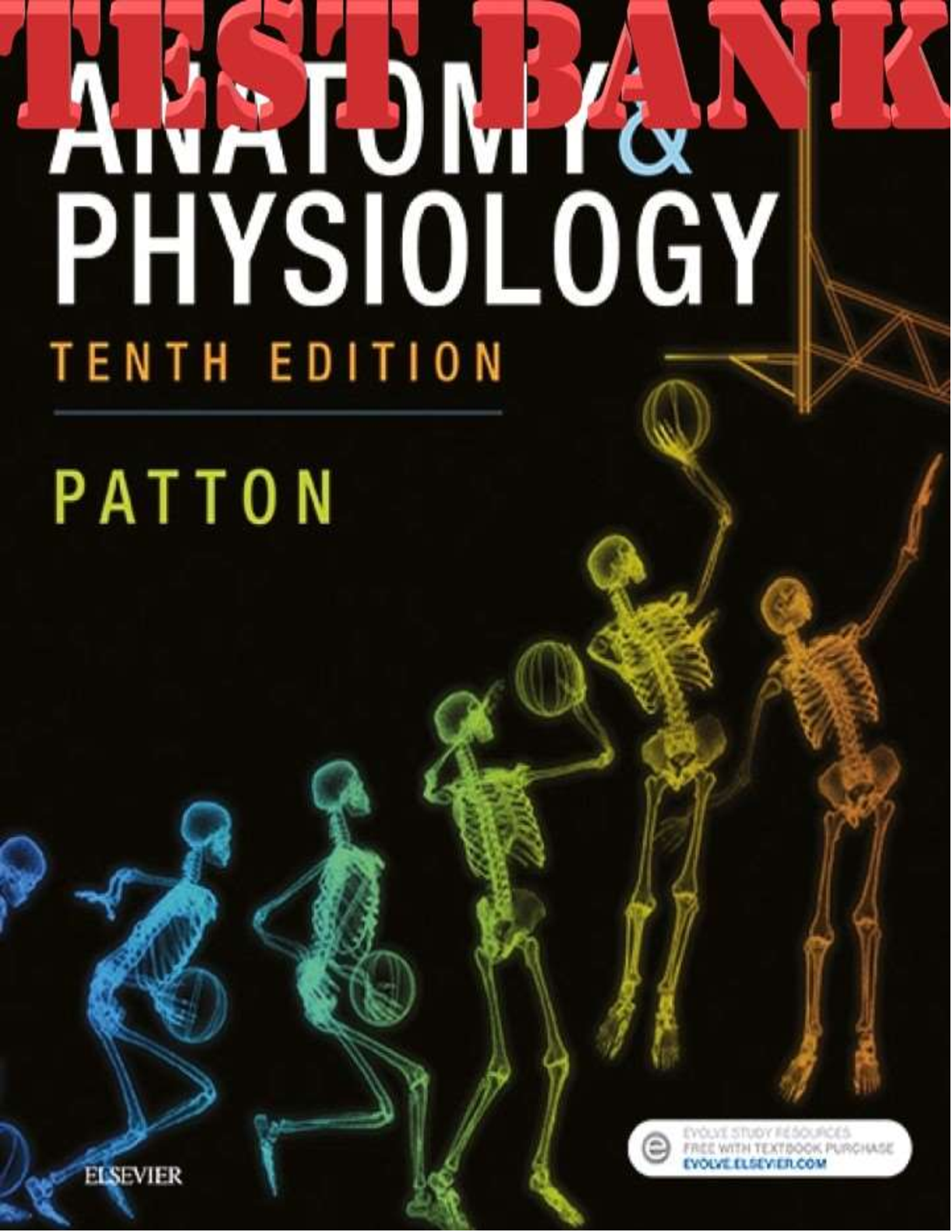 Preview image for Anatomy and Physiology, 10th Edition, Patton