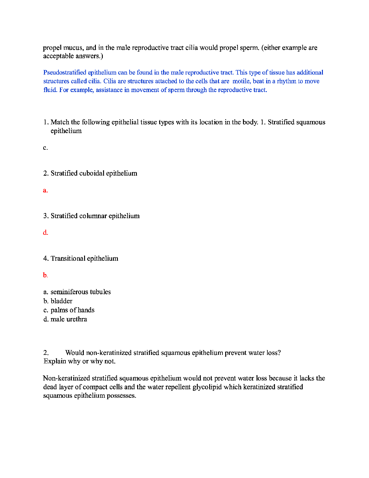 document-preview