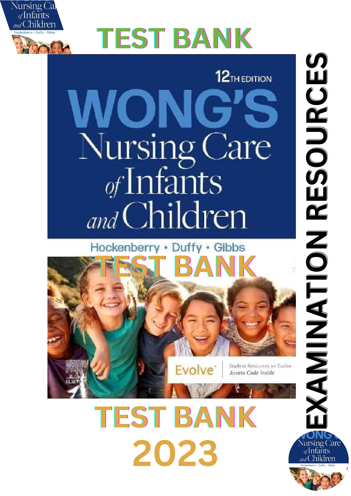 Preview image for Test Bank: Wong's Nursing Care of Infants and Children 12E by Marilyn J. H., Elizabeth A. D., Karen G. All Chapters (1-30)